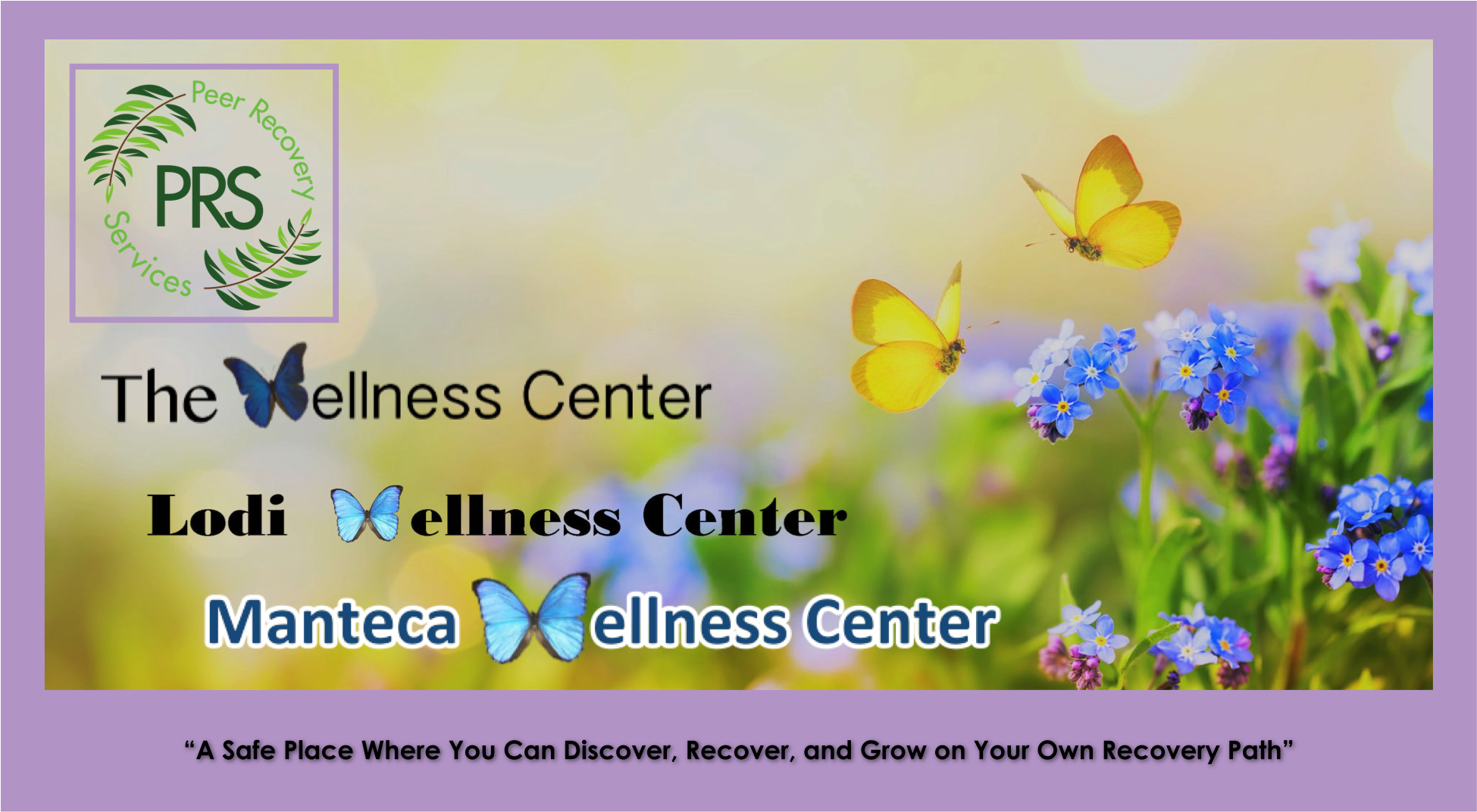 The Wellness Centers - A safe place where you can discover, recover, and grow on your own recovery path