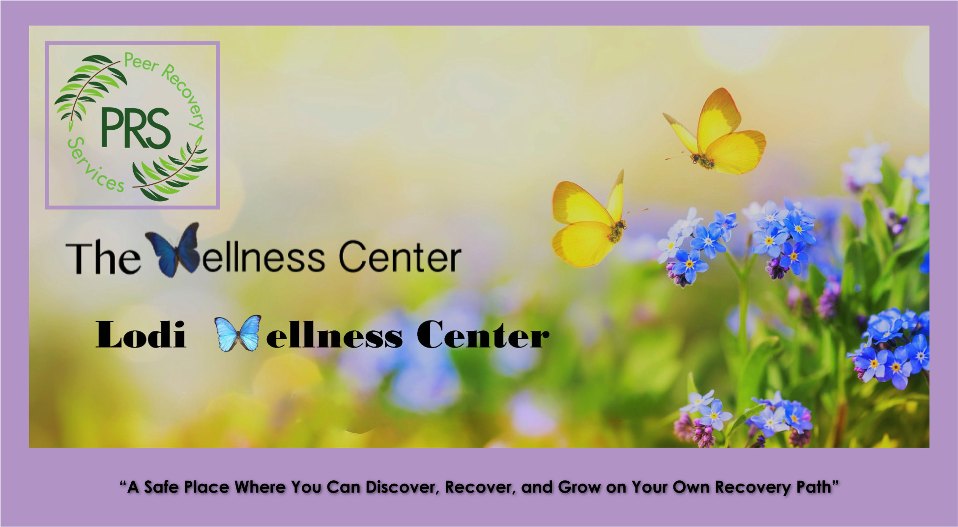 The Wellness Centers - A safe place where you can discover, recover, and grow on your own recovery path